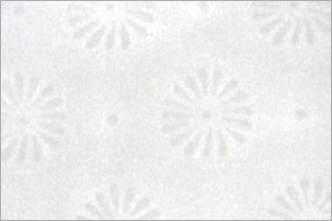 Security Paper